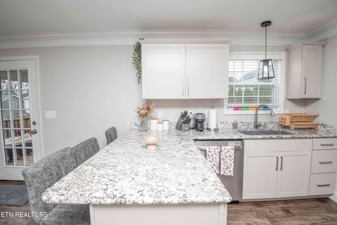 Tiny photo for 7336 Ladd Road Rd, Powell, TN 37849 (MLS # 1323709)