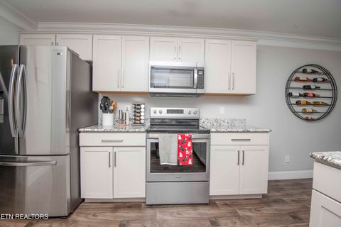 Tiny photo for 7336 Ladd Road Rd, Powell, TN 37849 (MLS # 1323709)