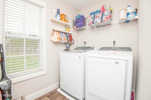 Tiny photo for 7336 Ladd Road Rd, Powell, TN 37849 (MLS # 1323709)