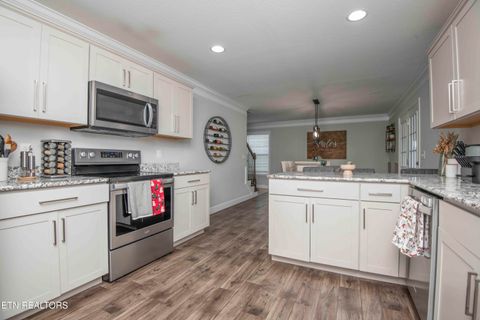 Tiny photo for 7336 Ladd Road Rd, Powell, TN 37849 (MLS # 1323709)