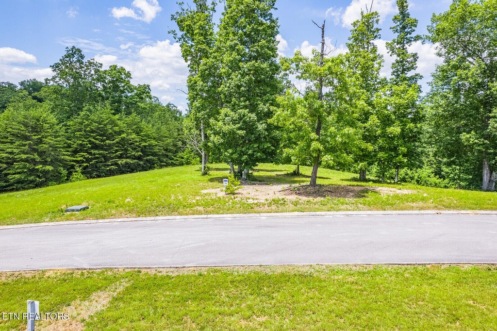 Photo of 312 River Run Tr, Spring City, TN 37381 (MLS # 1291093)