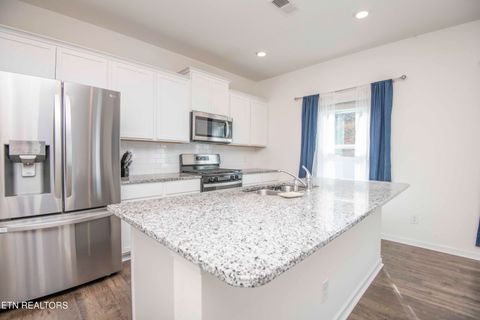 Tiny photo for 514 Cliff St, Morristown, TN 37814 (MLS # 1332531)