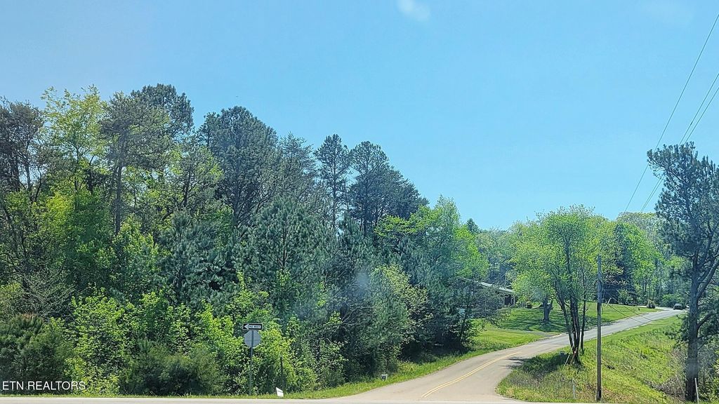 Photo of 120 Point Oak Drive, Parrottsville, TN 37843 (MLS # 1298201)
