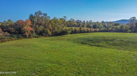 Photo of 340 Cross Rd, Winfield, TN 37892 (MLS # 1318927)