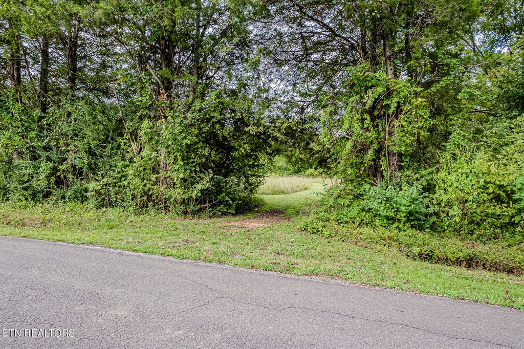 Photo of County Road 432, Englewood, TN 37329 (MLS # 1275921)