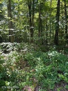 Tiny photo for 850 Lick Hollow Drive, Grandview, TN 37337 (MLS # 1346370)