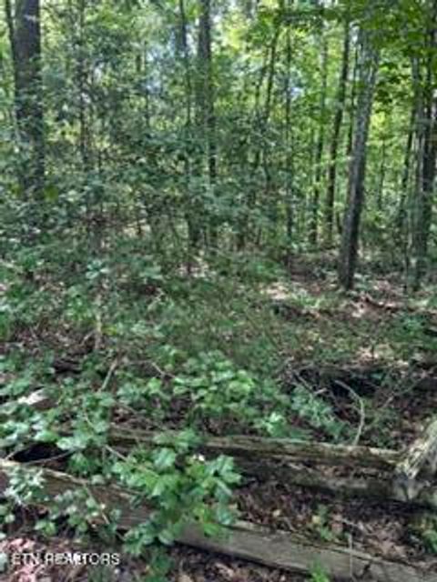 Photo of 850 Lick Hollow Drive, Grandview, TN 37337 (MLS # 1346370)
