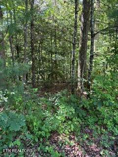 Tiny photo for 850 Lick Hollow Drive, Grandview, TN 37337 (MLS # 1346370)