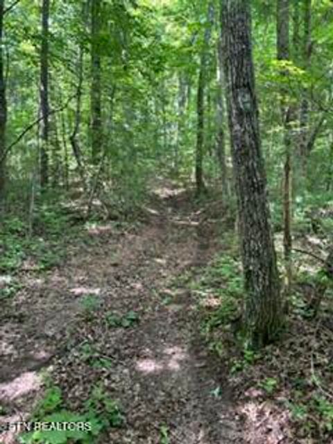 Tiny photo for 850 Lick Hollow Drive, Grandview, TN 37337 (MLS # 1346370)