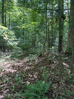 Tiny photo for 850 Lick Hollow Drive, Grandview, TN 37337 (MLS # 1346370)