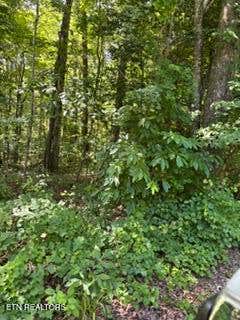 Tiny photo for 850 Lick Hollow Drive, Grandview, TN 37337 (MLS # 1346370)