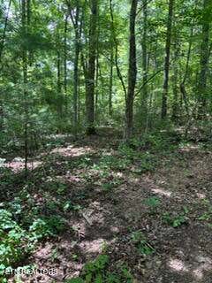 Tiny photo for 850 Lick Hollow Drive, Grandview, TN 37337 (MLS # 1346370)