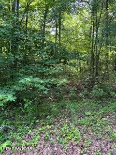 Tiny photo for 850 Lick Hollow Drive, Grandview, TN 37337 (MLS # 1346370)