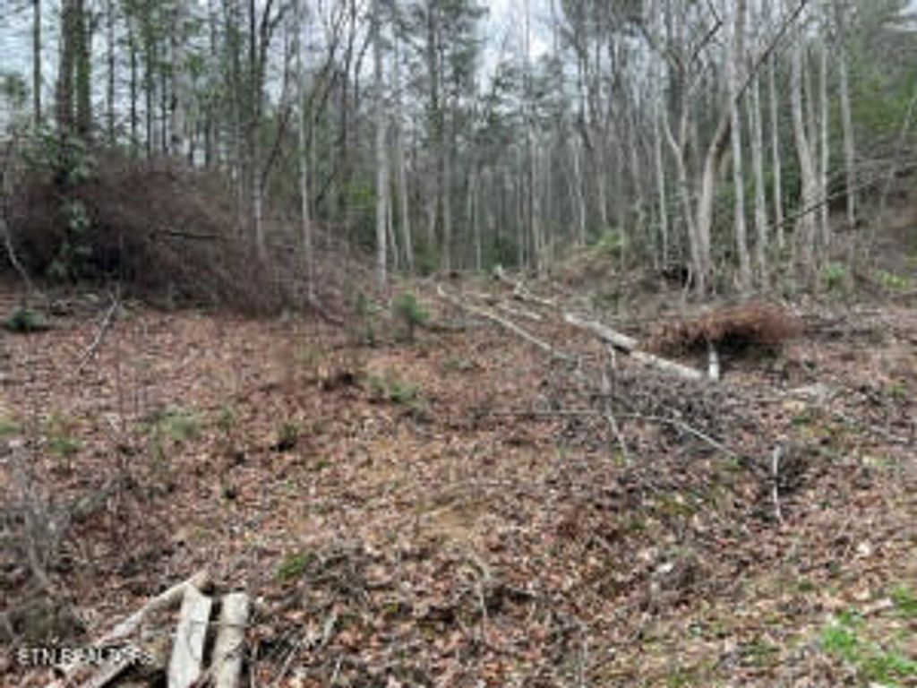 Photo of Coy Rhea Way, Sevierville, TN 37876 (MLS # 1286214)