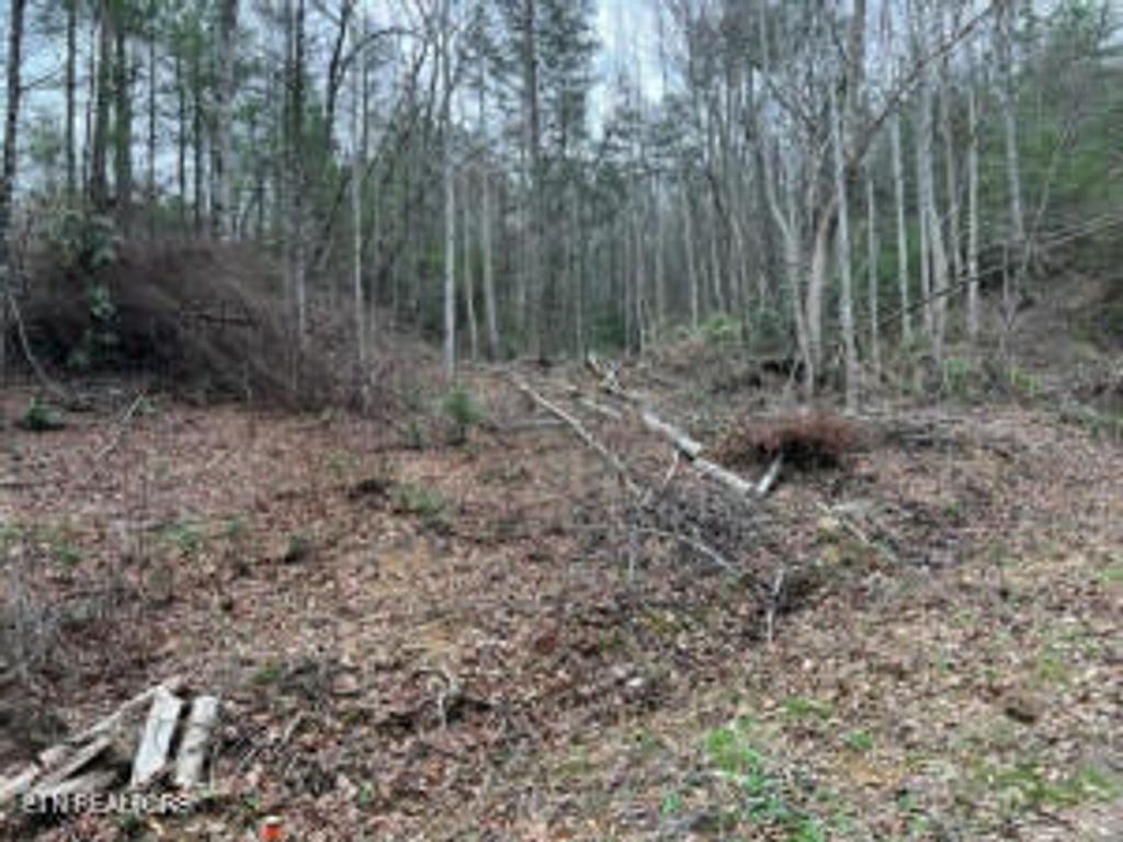 Photo of Coy Rhea Way, Sevierville, TN 37876 (MLS # 1286214)