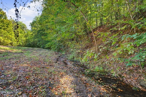 Tiny photo for 536 Corum Rd, Knoxville, TN 37924 (MLS # 1355583)