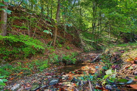 Tiny photo for 536 Corum Rd, Knoxville, TN 37924 (MLS # 1355583)