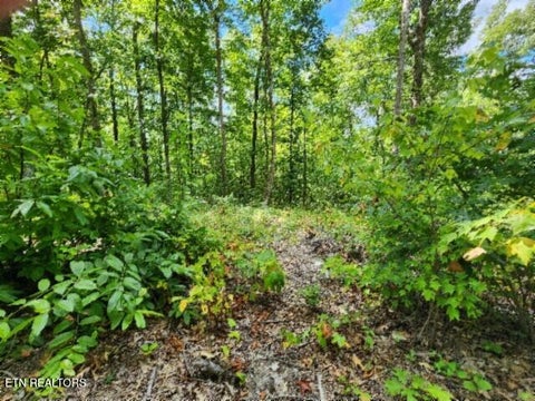 Tiny photo for 73 Tomahawk Rd, Jamestown, TN 38556 (MLS # 1356022)