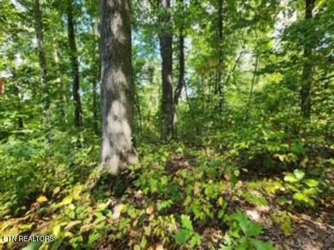 Tiny photo for 73 Tomahawk Rd, Jamestown, TN 38556 (MLS # 1356022)
