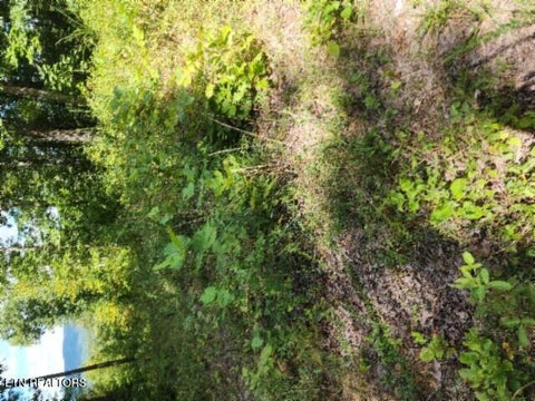 Tiny photo for 73 Tomahawk Rd, Jamestown, TN 38556 (MLS # 1356022)