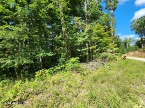 Tiny photo for 73 Tomahawk Rd, Jamestown, TN 38556 (MLS # 1356022)