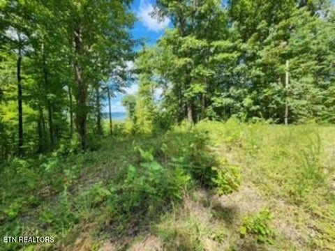 Tiny photo for 73 Tomahawk Rd, Jamestown, TN 38556 (MLS # 1356022)