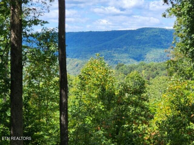 Photo of 73 Tomahawk Rd, Jamestown, TN 38556 (MLS # 1356022)