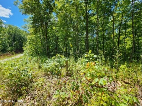 Tiny photo for 73 Tomahawk Rd, Jamestown, TN 38556 (MLS # 1356022)