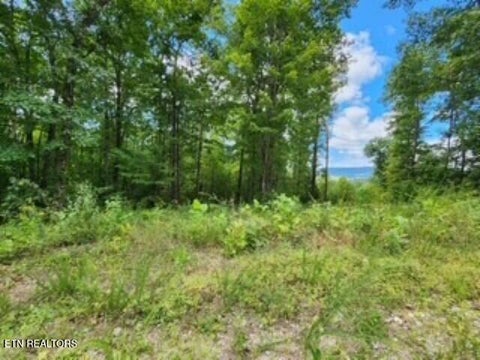Tiny photo for 73 Tomahawk Rd, Jamestown, TN 38556 (MLS # 1356022)