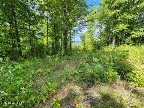 Tiny photo for 73 Tomahawk Rd, Jamestown, TN 38556 (MLS # 1356022)