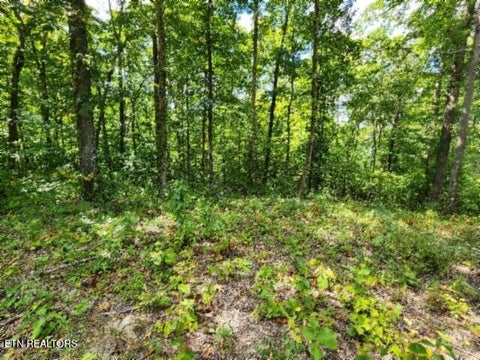 Tiny photo for 73 Tomahawk Rd, Jamestown, TN 38556 (MLS # 1356022)