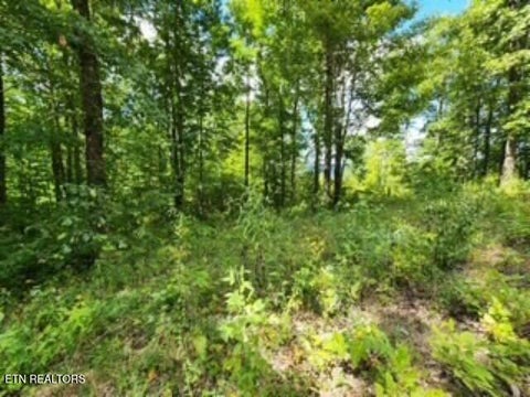 Tiny photo for 73 Tomahawk Rd, Jamestown, TN 38556 (MLS # 1356022)