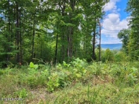 Tiny photo for 73 Tomahawk Rd, Jamestown, TN 38556 (MLS # 1356022)