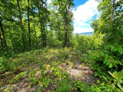 Tiny photo for 73 Tomahawk Rd, Jamestown, TN 38556 (MLS # 1356022)
