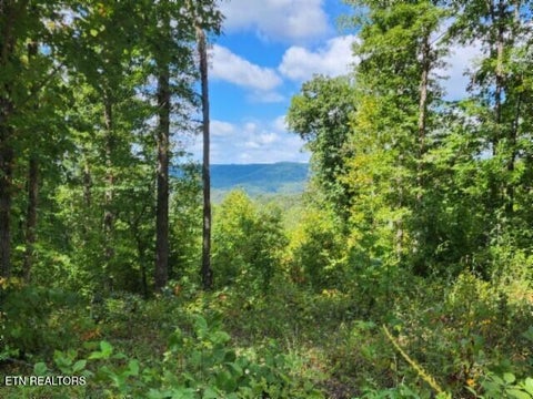 Tiny photo for 73 Tomahawk Rd, Jamestown, TN 38556 (MLS # 1356022)
