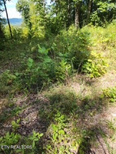 Tiny photo for 73 Tomahawk Rd, Jamestown, TN 38556 (MLS # 1356022)