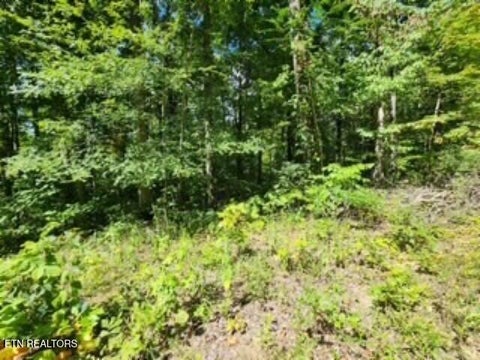 Tiny photo for 73 Tomahawk Rd, Jamestown, TN 38556 (MLS # 1356022)