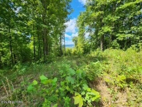Tiny photo for 73 Tomahawk Rd, Jamestown, TN 38556 (MLS # 1356022)