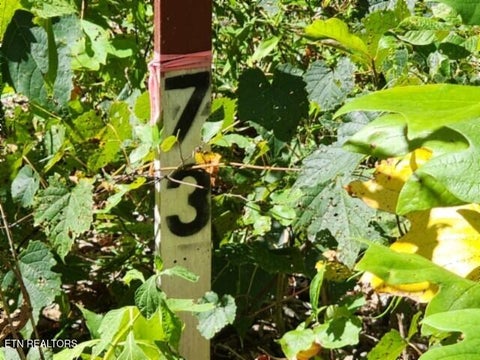 Tiny photo for 73 Tomahawk Rd, Jamestown, TN 38556 (MLS # 1356022)