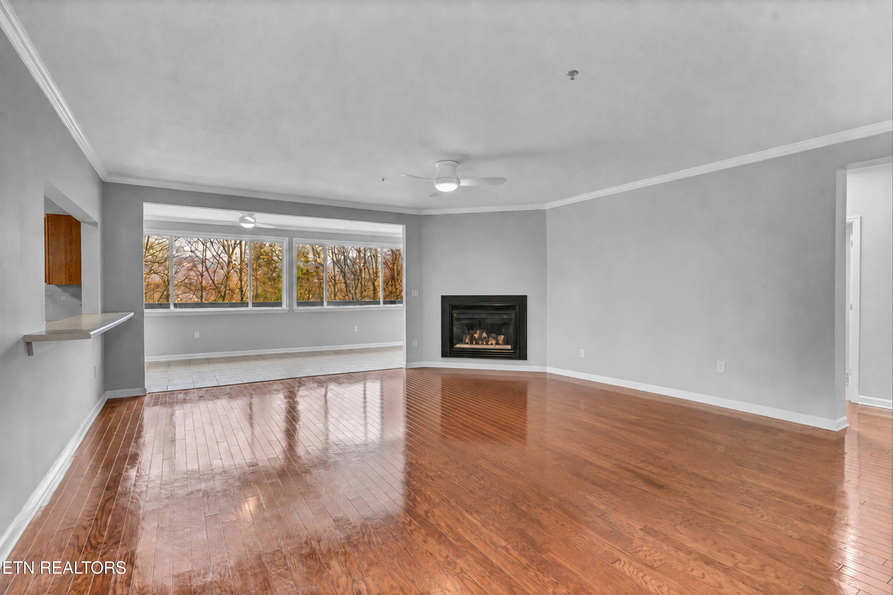 338 Pinnacle View Way 132