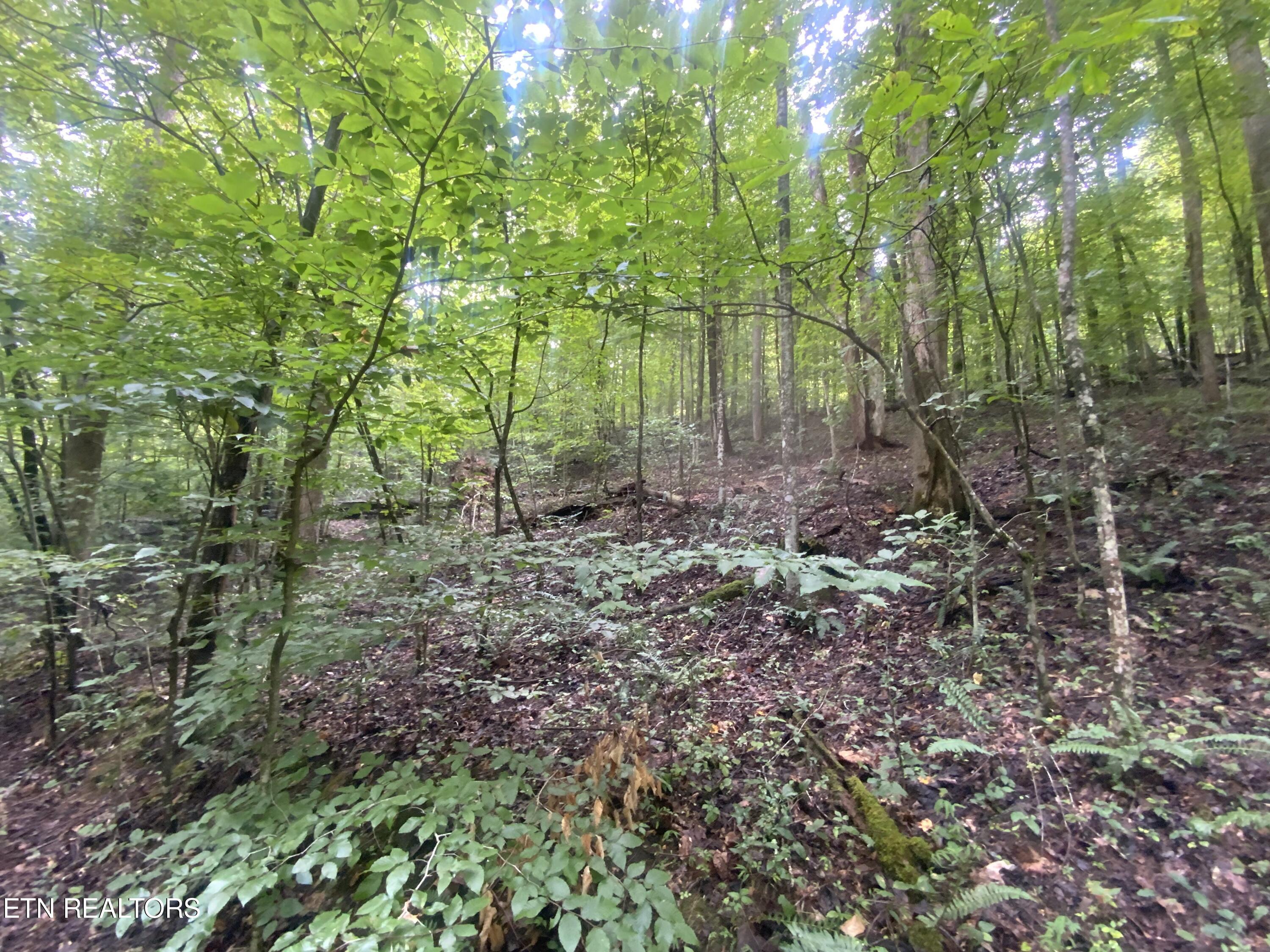 Lot 63 Hiwassee View Drive