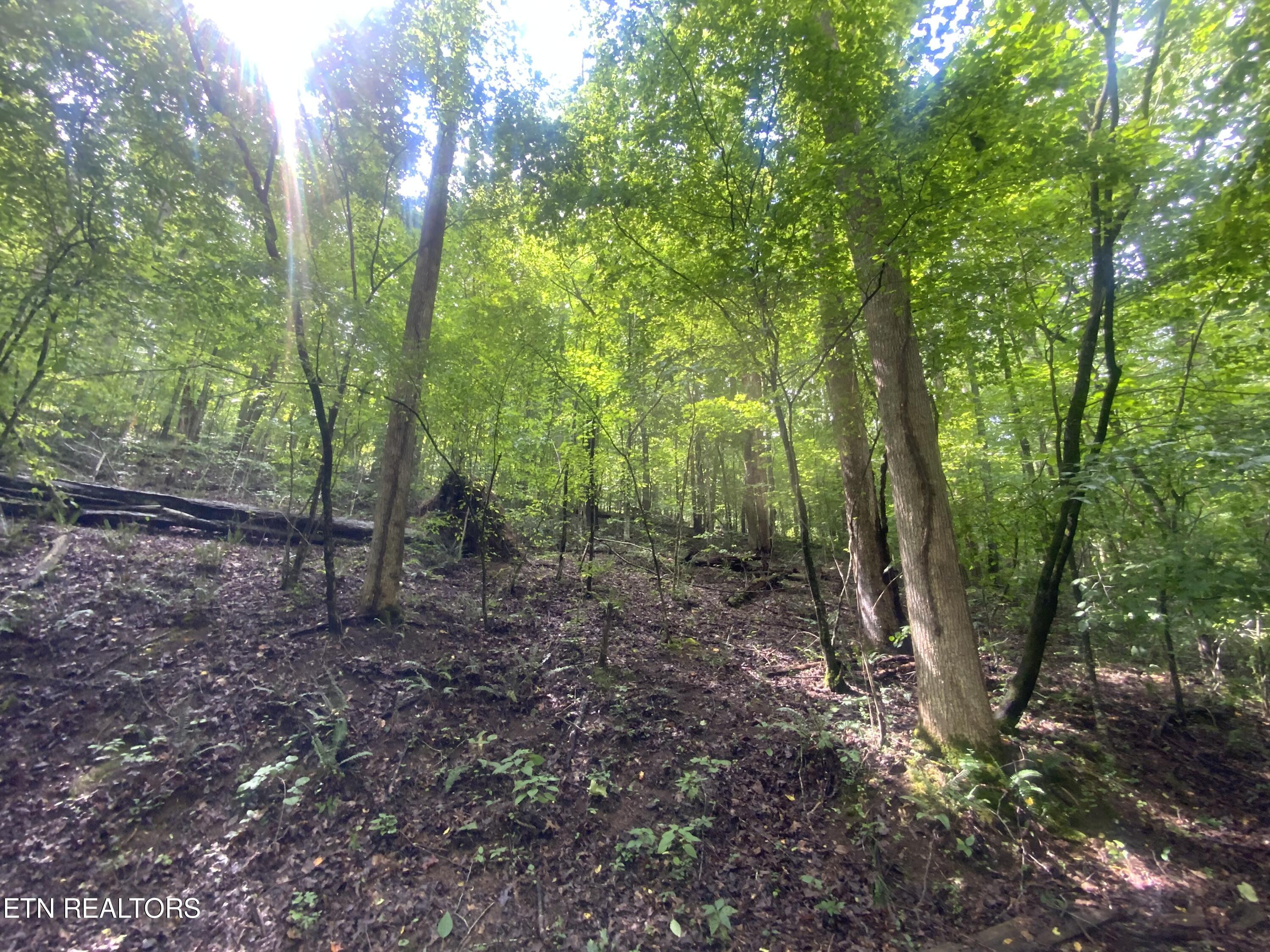Lot 63 Hiwassee View Drive