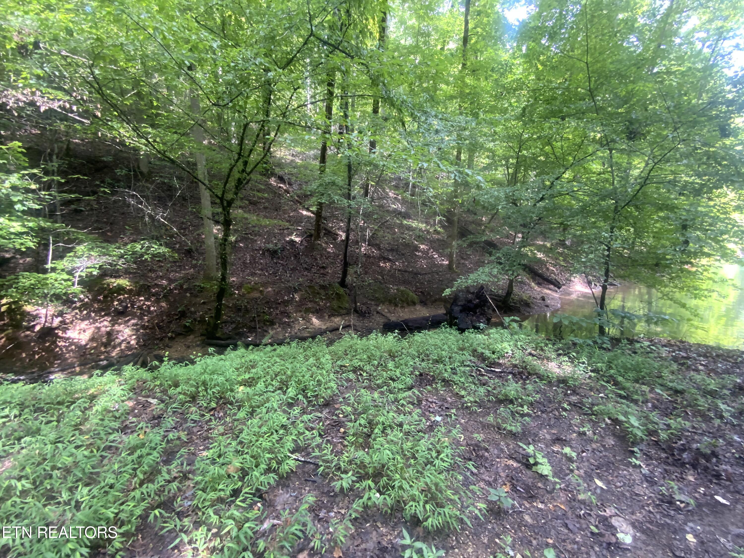 Lot 63 Hiwassee View Drive