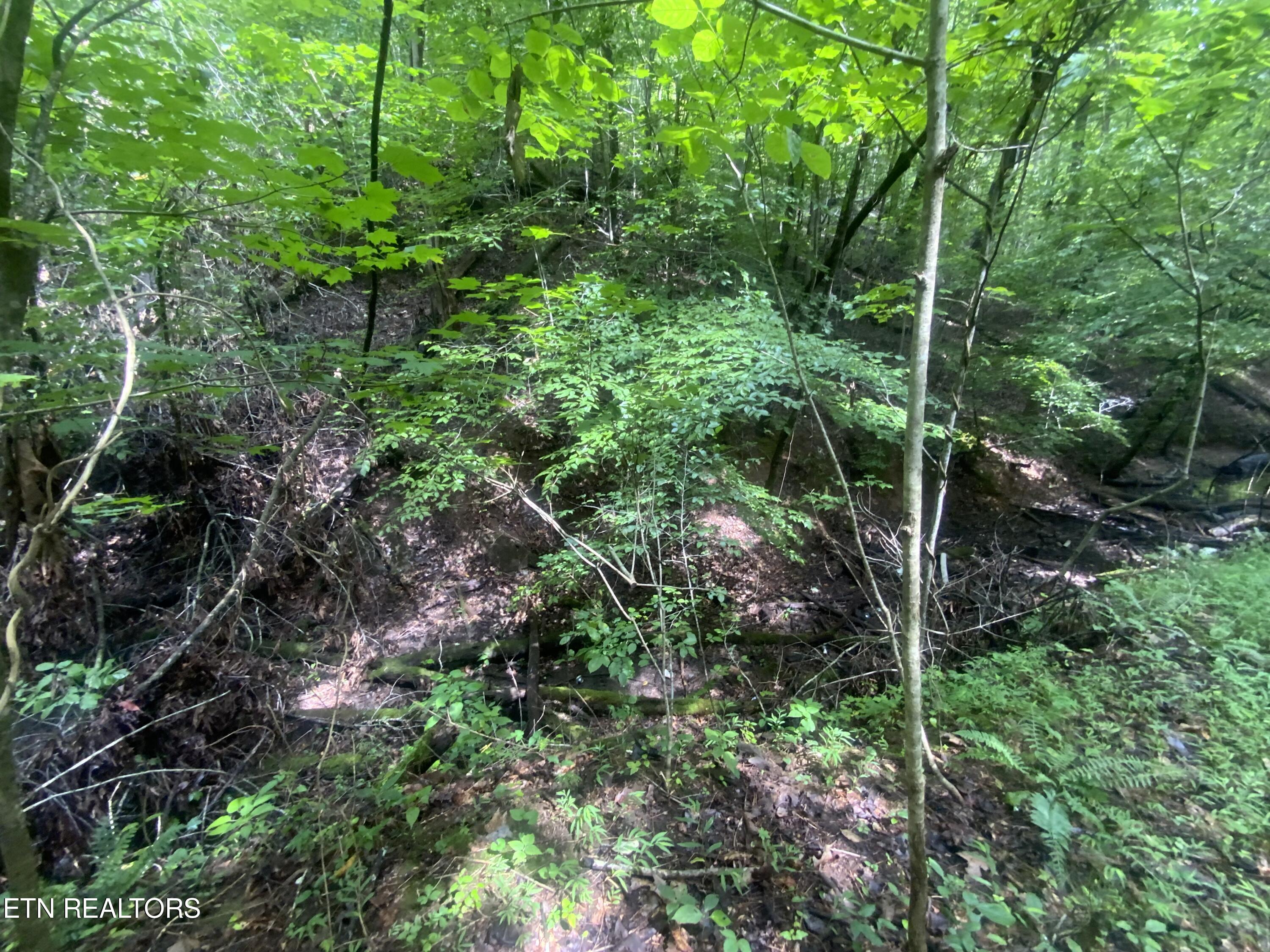 Lot 63 Hiwassee View Drive