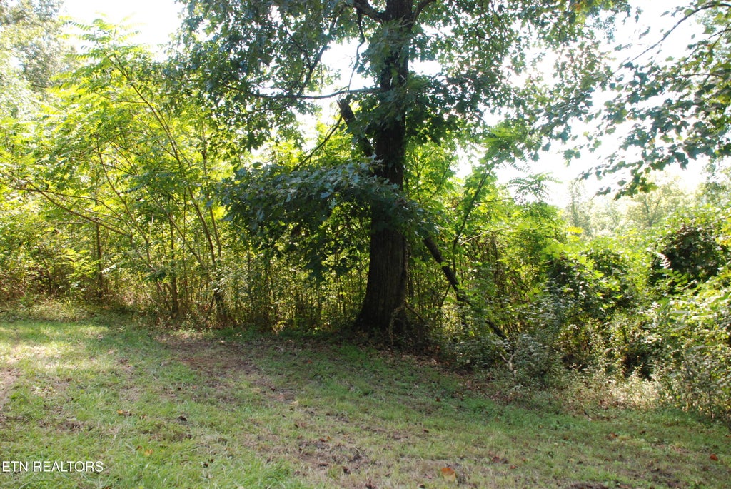Photo of 2222320 Vann Drive, Harriman, TN 37748 (MLS # 1354094)