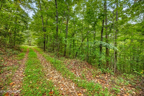 Tiny photo for 2526 Timber Ridge Lane, Celina, TN 38551 (MLS # 1359400)