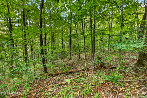 Photo of 2526 Timber Ridge Lane, Celina, TN 38551 (MLS # 1359400)