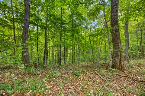 Tiny photo for 2526 Timber Ridge Lane, Celina, TN 38551 (MLS # 1359400)
