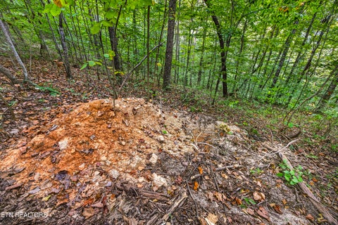 Tiny photo for 2526 Timber Ridge Lane, Celina, TN 38551 (MLS # 1359400)