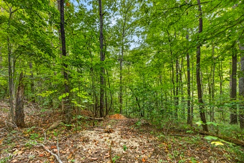 Tiny photo for 2526 Timber Ridge Lane, Celina, TN 38551 (MLS # 1359400)